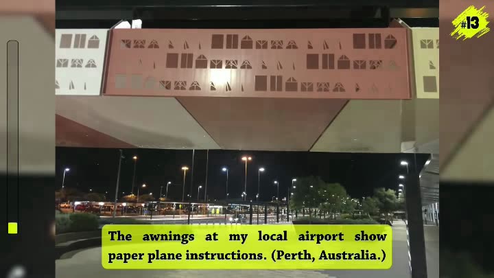 Flight Of The Snowbirds